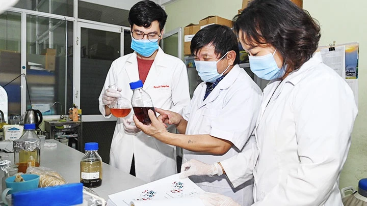 PGS, TS, nghiên cứu viên cao cấp Lê Quang Huấn (giữa) và các cộng sự nghiên cứu thuốc điều trị Covid-19. Ảnh: TTXVN