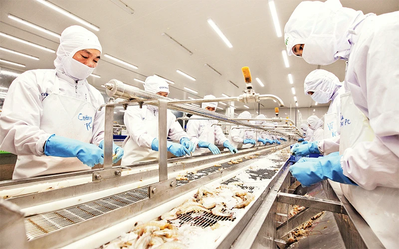 Dây chuyền chế biến hải sản tại Công ty Phát triển kinh tế duyên hải (COFIDEC). Ảnh: CTV