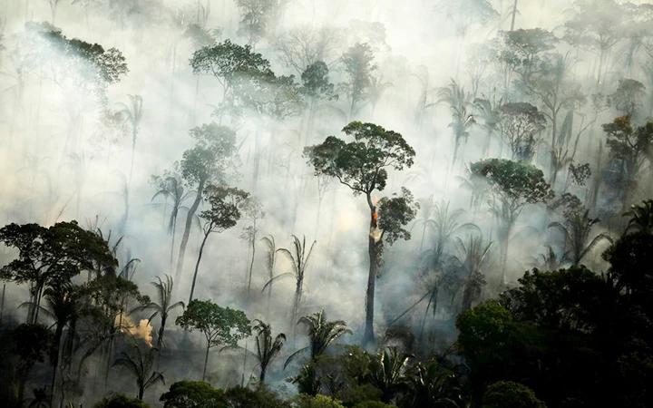 Rừng Amazon bị cháy tại khu vực Porto Velho, bang Rondonia, Brazil. Ảnh: REUTERS