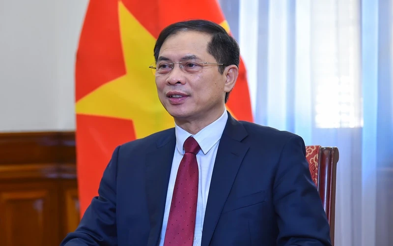 Bộ trưởng Ngoại giao Bùi Thanh Sơn. (Ảnh: Báo Thế giới và Việt Nam)