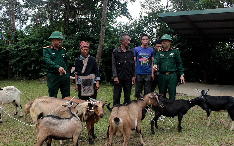 Đại diện Đoàn Kinh tế - Quốc phòng 345 (Quân khu 2) trao dê giống tặng hộ nghèo xã A Lù (Bát Xát, Lào Cai). 