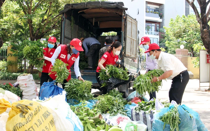 Cán bộ, hội viên Chữ thập đỏ triển khai hoạt động hỗ trợ thực phẩm cho người dân có hoàn cảnh khó khăn tại TP Đà Nẵng. Ảnh: THANH TÂM