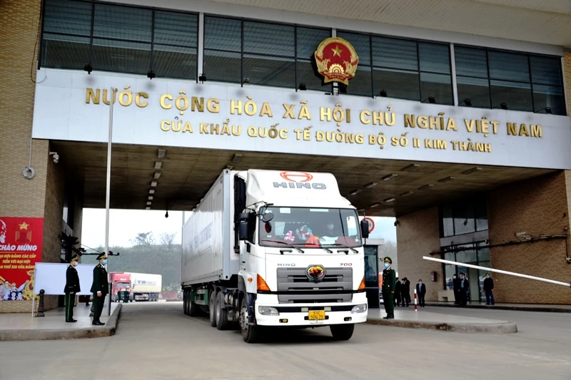 Xuất khẩu chuối quả tươi sang Trung Quốc, qua Cửa khẩu đường bộ Kim Thành (Lào Cai).