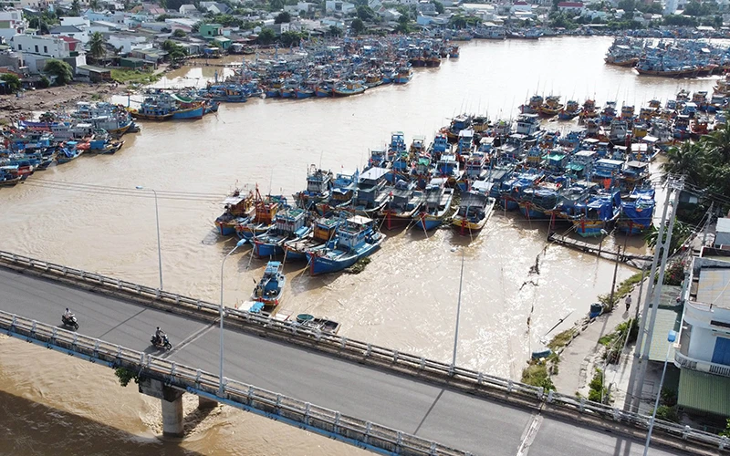 Tàu thuyền neo đậu dày đặc khu vực hạ lưu sông Dinh làm cản trở dòng chảy mỗi khi nước từ thượng nguồn đổ về nhiều.