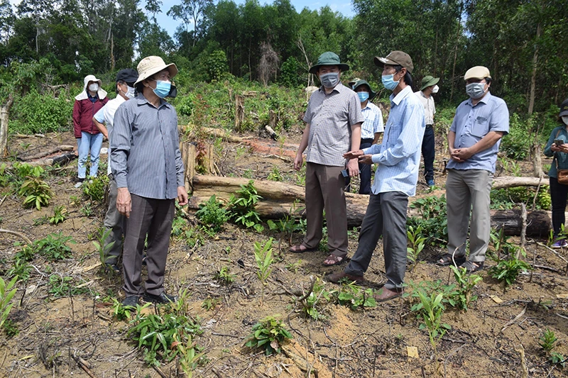 Đoàn công tác do ông Trần Hữu Thế, Chủ tịch UBND tỉnh Phú Yên kiểm tra hiện trường vụ phá rừng phòng hộ lấy đất sản xuất tại xã Sơn Hội, huyện Sơn Hòa đã được Báo Nhân Dân phản ảnh ngày 31/8.