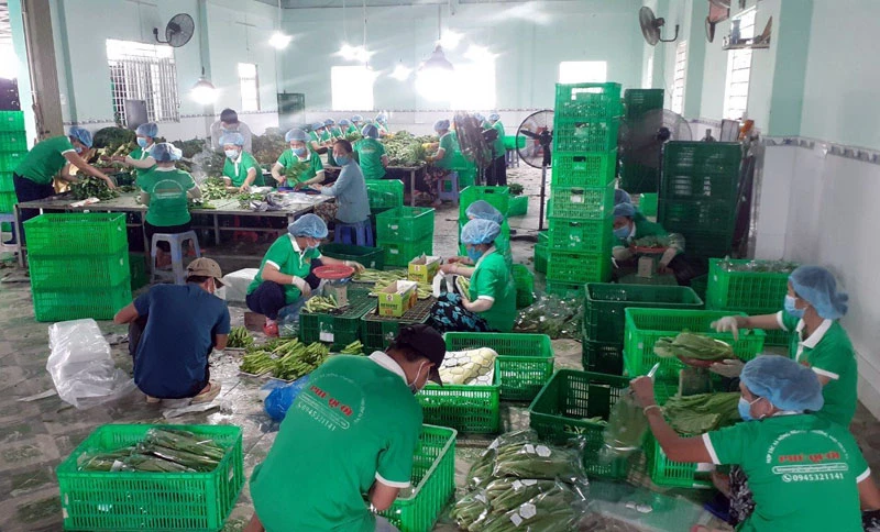 Người dân Tiền Giang đóng gói combo hàng nông sản cung ứng cho TP Hồ Chí Minh.