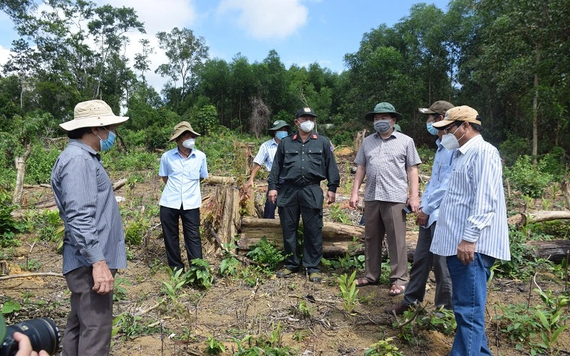 Chủ tịch UBND tỉnh Phú Yên Trần Hữu Thế kiểm tra, chỉ đạo tại hiện trường vụ phá rừng phòng hộ tại thôn Tân Thành, xã Sơn Hội, huyện Sơn Hòa theo báo Nhân Dân phản ảnh.