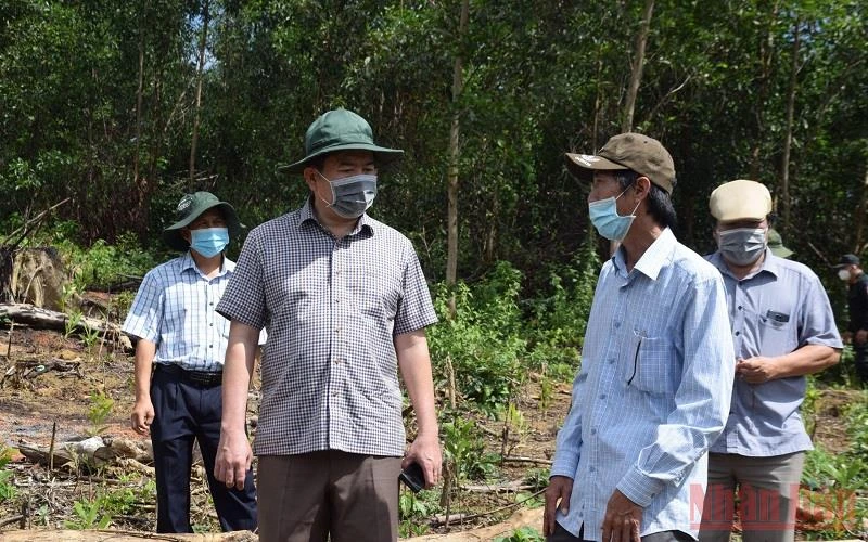 Chủ tịch UBND tỉnh Phú Yên Trần Hữu Thế kiểm tra, chỉ đạo xử lý hành vi phá rừng tại hiện trường khu vực rừng phòng hộ đầu nguồn tại xã Sơn Hội đã được Báo Nhân Dân phản ánh.
