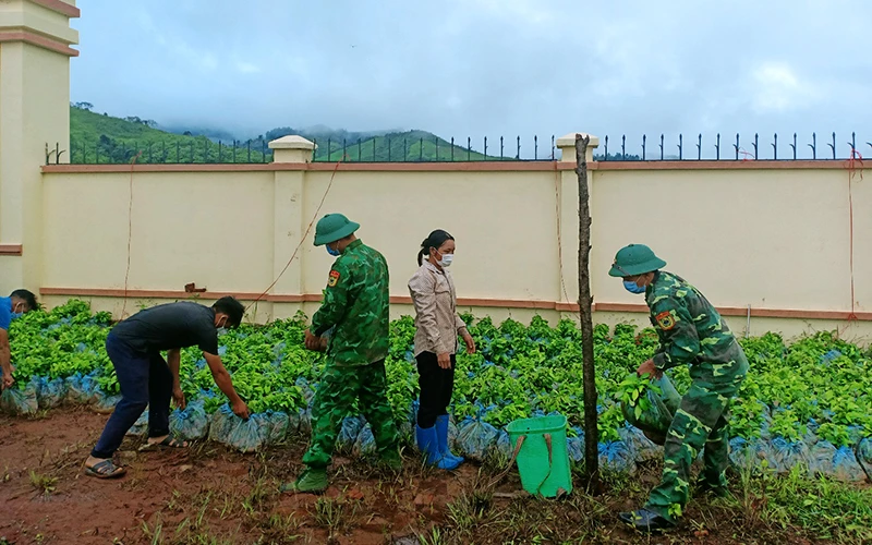 Chiến sĩ Ðồn Biên phòng Na Cô Sa hướng dẫn người dân kỹ thuật trồng cây, trồng rừng.
