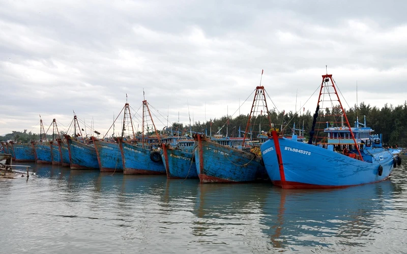 Tàu thuyền của ngư dân neo đậu tại Cảng cá La Gi (Bình Thuận) sau khi phải tạm ngừng khai thác thủy sản để phòng, chống dịch Covid-19. 