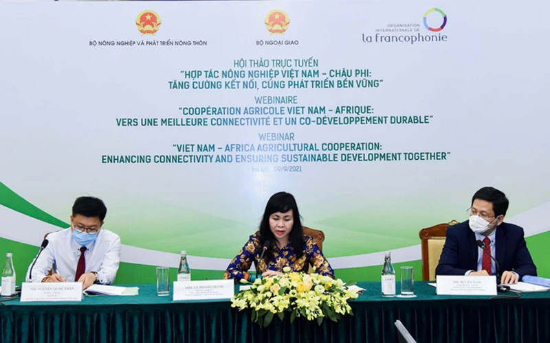 Các đại biểu Việt Nam dự hội thảo.