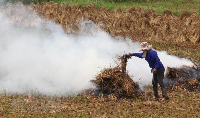 Mỗi năm, Việt Nam thải ra 156 triệu tấn phụ phẩm nông nghiệp. (ảnh minh họa)