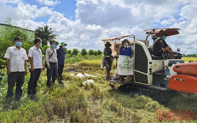 Lãnh đạo huyện Tháp Mười khảo sát tình hình nông dân thu hoạch lúa tại xã Tân Kiều.