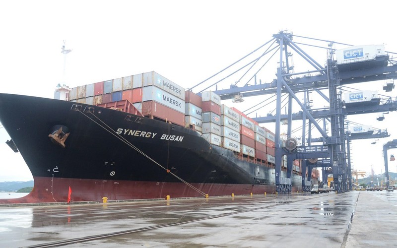 Tàu Synergy Busan đã cập cảng container quốc tế Cái Lân (CICT Cái Lân), tỉnh Quảng Ninh. (Ảnh: Thanh Vân/TTXVN)