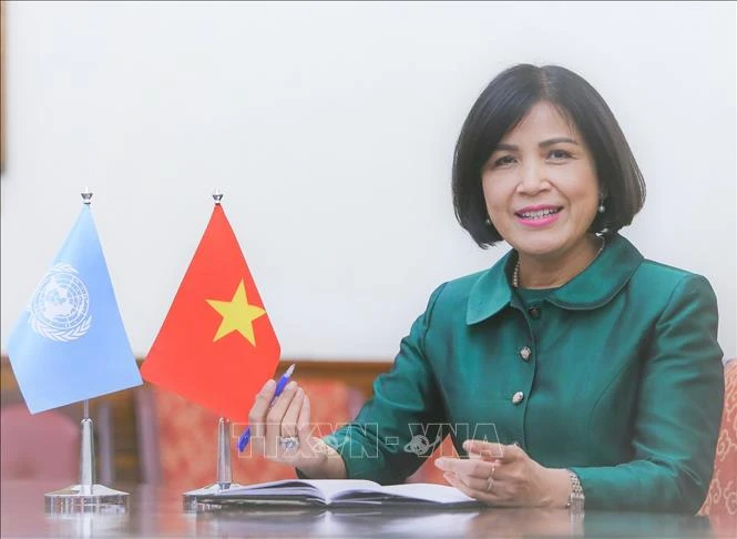 Đại sứ Lê Thị Tuyết Mai, Trưởng Phái đoàn Việt Nam bên cạnh Liên hợp quốc, Tổ chức Thương mại thế giới và các tổ chức quốc tế khác tại Geneva. Ảnh: TTXVN