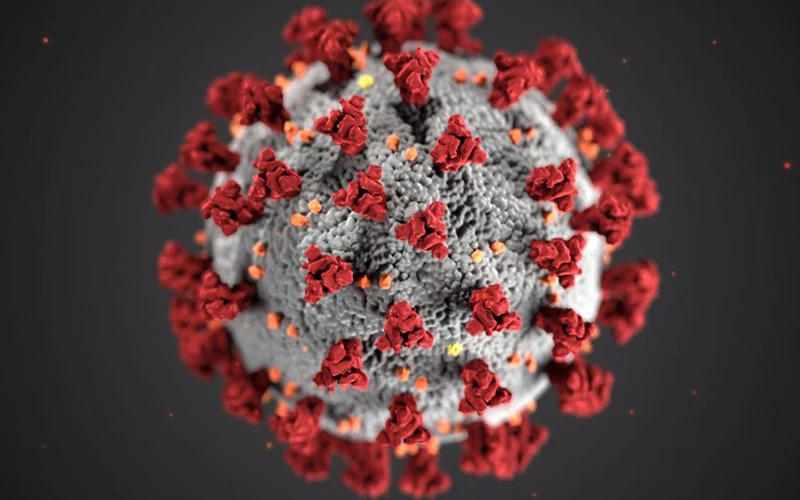 Virus Corona. (Ảnh minh họa: CDC)