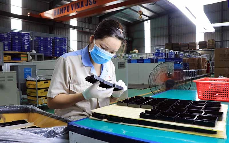 Sản xuất tại Công ty cổ phần Hanpo Vina (Khu công nghiệp Yên Phong, Bắc Ninh). Ảnh: THÁI SƠN