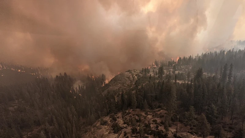 Đám cháy mang tên KNP Complex lan rộng tại Vườn quốc gia Sequoia, California, Mỹ ngày 18/9. Ảnh: Vườn quốc gia Sequoia.