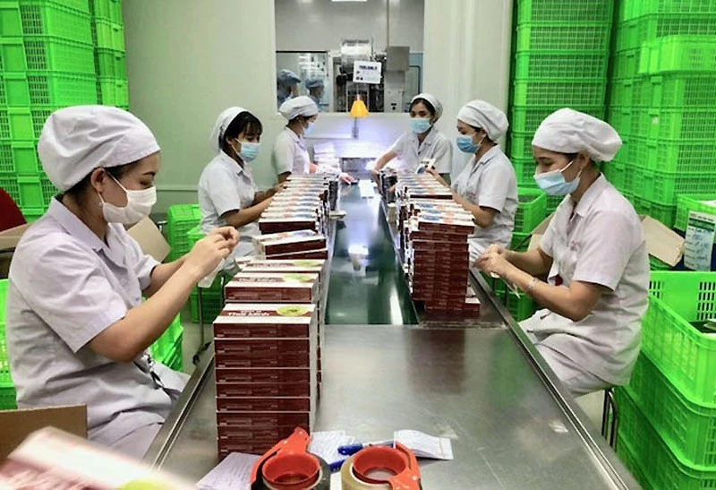 Sản xuất ở Công ty cổ phần công nghệ cao Thái Minh tại Cụm công nghiệp Thạch Thất - Quốc Oai.