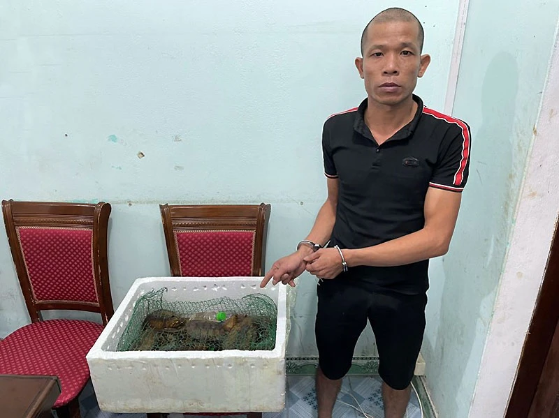 Đối tượng Trần Quang Tuấn cùng 13 cá thể rùa tại Cơ quan công an huyện Hải Hà (Quảng Ninh).