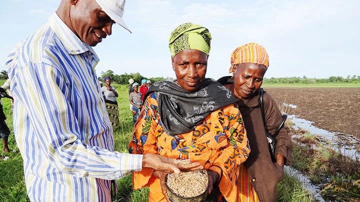 Nhiều phụ nữ nông dân Tây Phi được hưởng lợi từ phong trào NSS. Ảnh: NSS