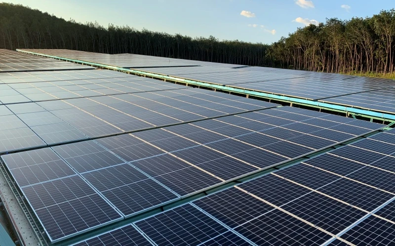 Các nhà đầu tư điện mặt trời mái nhà tại tỉnh Kon Tum sẽ có nguy cơ phá sản hàng loạt nếu như bị cắt giảm sản lượng lên đến 60%.