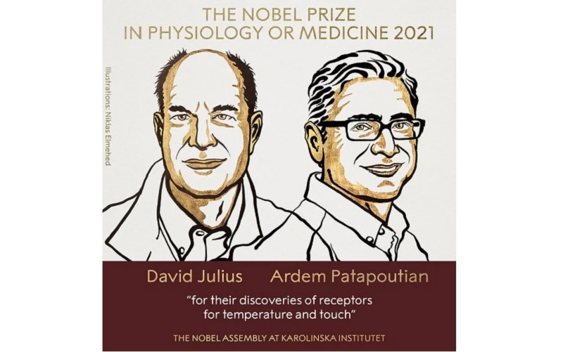 Giải Nobel Y sinh 2021 thuộc về 2 nhà khoa học David Julius và Ardem Patapoutian. (Ảnh: Nobel Prize)