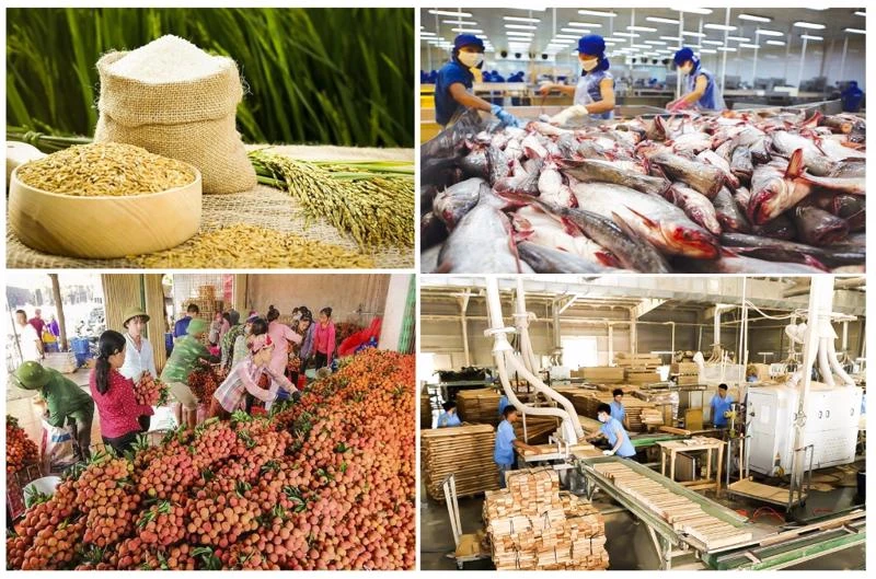 Chín tháng đầu năm 2021, kim ngạch xuất khẩu nông lâm thủy sản ước đạt 35,5 tỷ USD, tăng 17,7% so cùng kỳ năm ngoái.