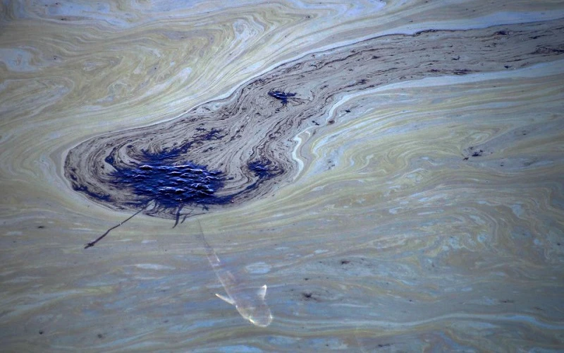 Vụ tràn dầu ngoài khơi bờ biển phía nam California được giới chức địa phương mô tả là "thảm họa môi trường". (Ảnh: Reuters)