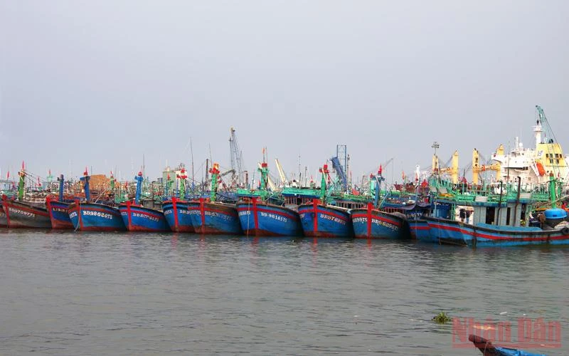 Tàu thuyền đang neo đậu trong khu vực Cảng cá Quy Nhơn, tỉnh Bình Định. 