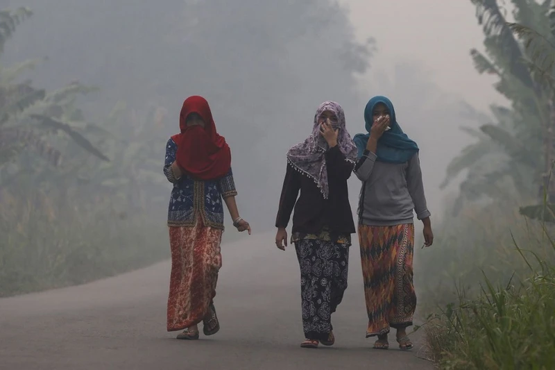 Người dân đảo Sumatra của Indonesia đi bộ trên con phố bị khói bụi bao phủ. (Ảnh: Reuters)