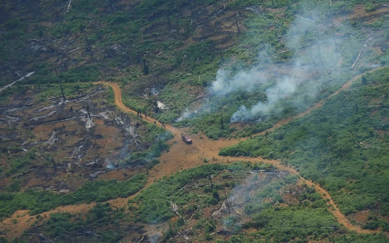 Khói bốc lên từ 1 đám cháy ở 1 khu vực rừng Amazon bị tàn phá tại bang Rondonia, Brazil ngày 28/9/2021. (Ảnh: Reuters)
