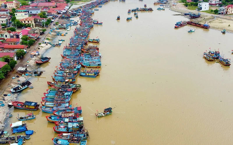 Tàu thuyền vào khu neo đậu sông Roòn, tỉnh Quảng Bình.