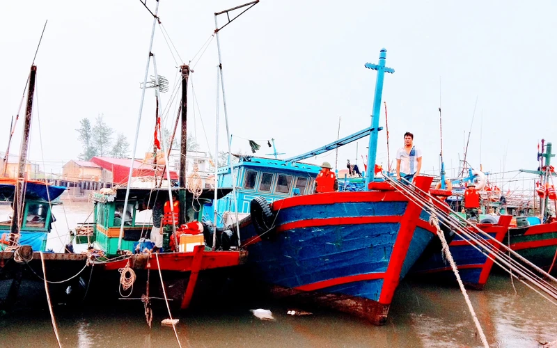 Tàu về neo đậu tại bến cá Ngọc Hải, quận Đồ Sơn (Hải Phòng) tránh trú bão.