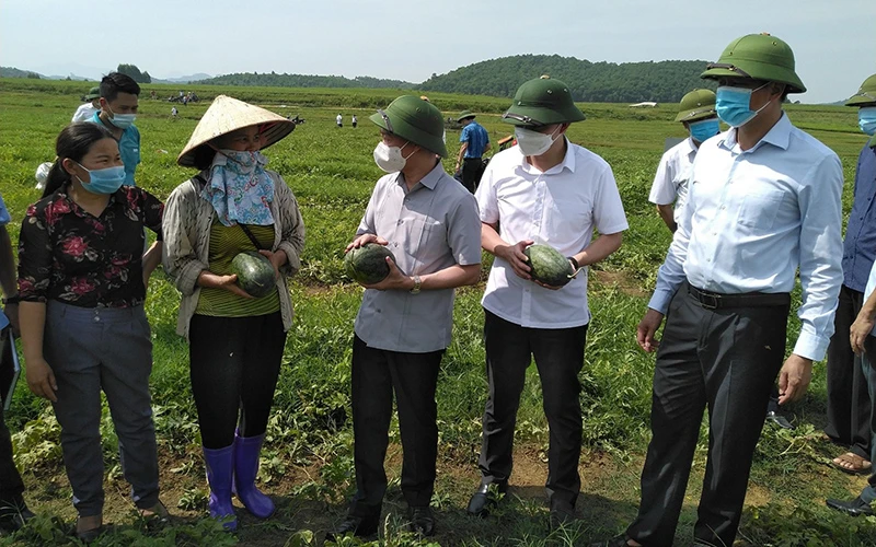 Đồng chí Đỗ Đức Duy kiểm tra việc dịch chuyển cơ cấu cây trồng tại xã Xuân Lai, huyện Yên Bình.