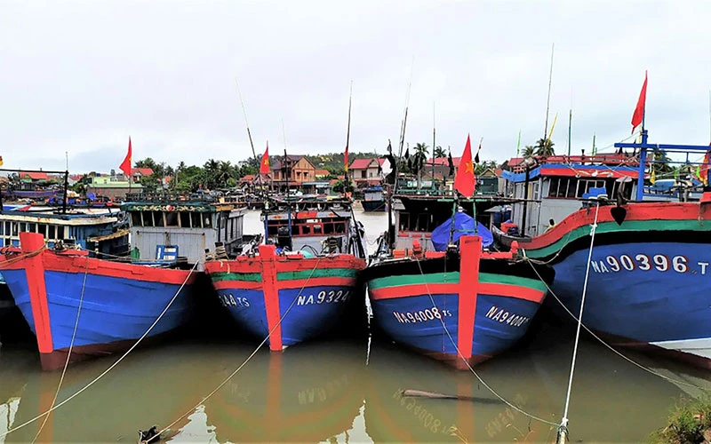 Tàu thuyền tại tỉnh Nghệ An được đưa về neo đậu an toàn trước cơn bão số 8. Ảnh: T.Ð