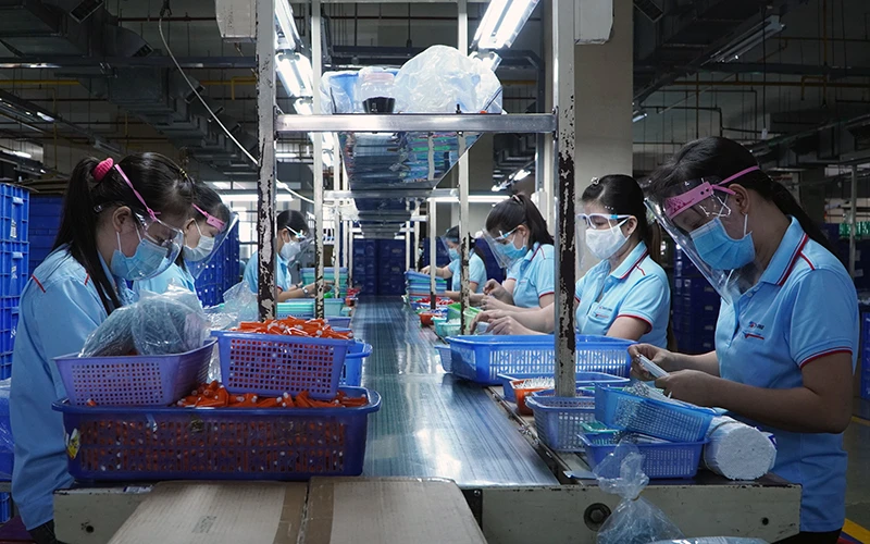 Hoạt động sản xuất theo phương án "Ba tại chỗ" ở Công ty cổ phần tập đoàn Thiên Long, Khu công nghiệp Tân Tạo, TP Hồ Chí Minh. Ảnh: THẾ ANH 