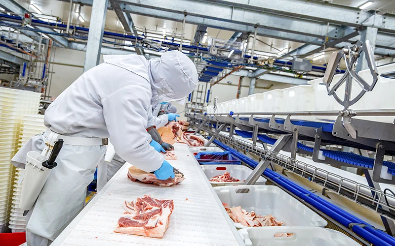 Công nhân nhà máy chế biến thịt Massan, Khu công nghiệp Đồng Văn 4 (Hà Nam) vận hành dây chuyền đóng gói thịt.