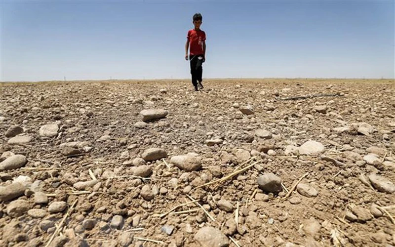 Một cánh đồng khô nứt nẻ do hạn hán kéo dài tại Diyala, Iraq. (Ảnh: AFP/TTXVN)