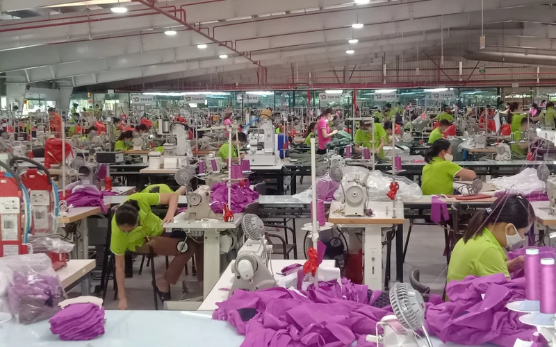 Hàng chục nghìn lao động ở Thái Bình được thụ hưởng hỗ trợ từ Quỹ Bảo hiểm thất nghiệp.