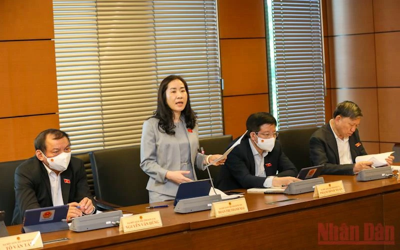 Đại biểu Quốc hội Đoàn Thị Thanh Mai (Hưng Yên) phát biểu tại phiên thảo luận tổ sáng 23/10. 