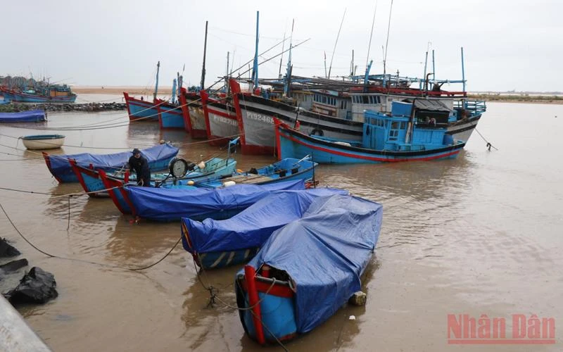 Tàu thuyền của ngư dân thành phố Tuy Hòa đã được hướng dẫn vào nơi tránh trú an toàn dọc Kè Bạch Đằng. 