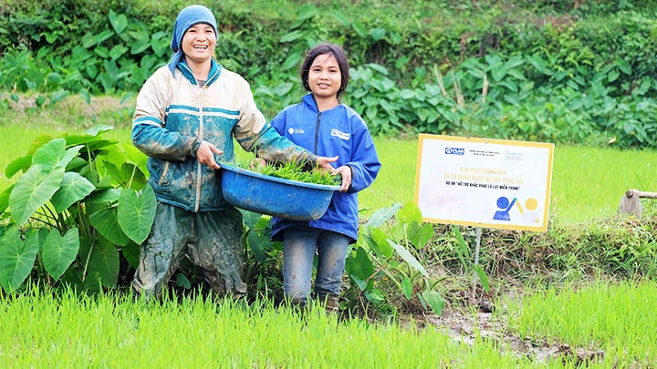 Bé Duyên và mẹ bên ruộng lúa được quỹ Plan International tại Việt Nam hỗ trợ. Ảnh: Quỹ Plan International (cung cấp)