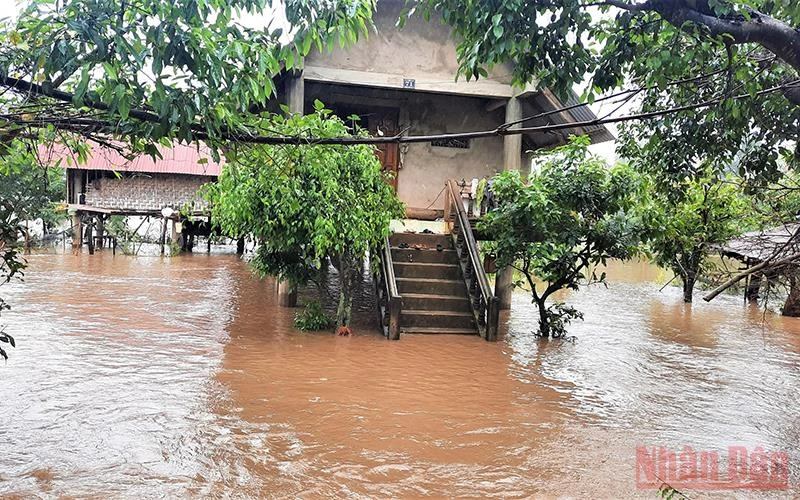 Nhiều nhà dân ở huyện Lắk bị nước lũ cô lập.