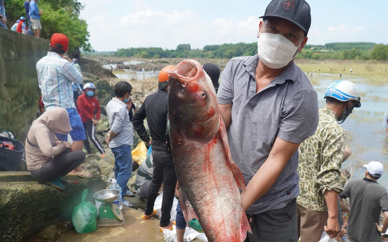 Người dân đánh bắt cá ở khu vực chân đập.