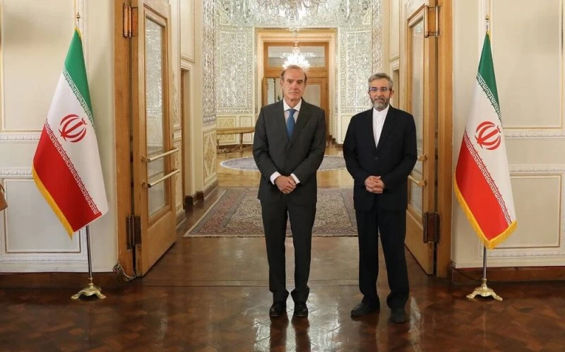 Ông Ali Bagheri Kani (phải) và ông Enrique Mora. (Ảnh: Tehran Times)