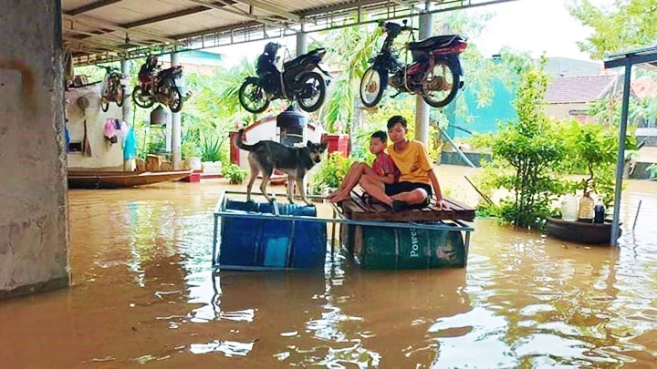 Người dân huyện Quảng Ninh (Quảng Bình) treo xe máy lên cao, kết bè nổi đi lại trong lũ.