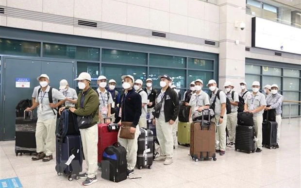 Nhóm lao động Việt Nam đợi nhập cảnh tại sân bay Incheon, Hàn Quốc. (Ảnh: Mạnh Hùng/TTXVN)