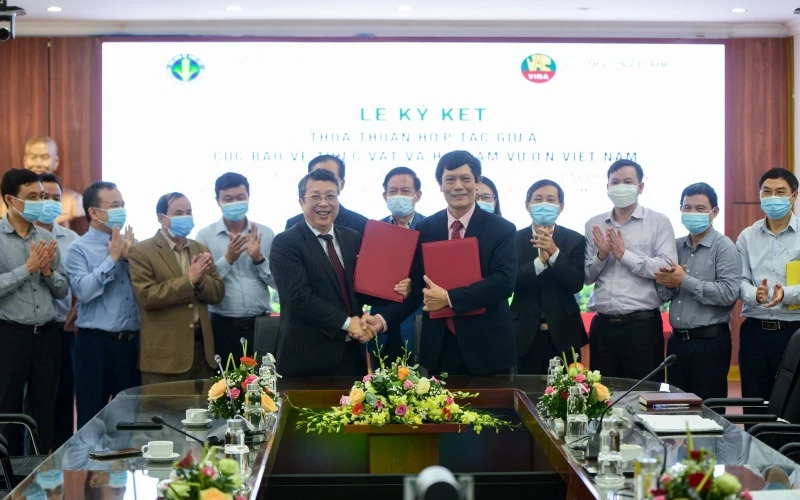 Thỏa thuận ký kết giữa Cục Bảo vệ thực vật và Hội Làm vườn Việt Nam sẽ góp phần quan trọng vào việc thúc đẩy phát triển nông nghiệp theo hướng an toàn, bền vững.