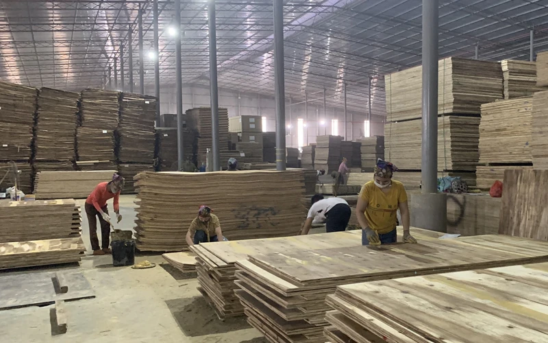 Hoạt động tại nhà máy chế biến gỗ của Công ty trách nhiệm hữu hạn Lechenwood tại Khu công nghiệp Thanh bình, huyện Chợ Mới, Bắc Kạn.